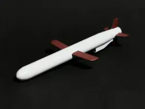 Tomahawk BGM-109 Cruise Missile Model