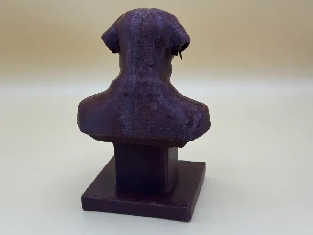 Bust of a well dressed Labrador — Фото 8 из 9