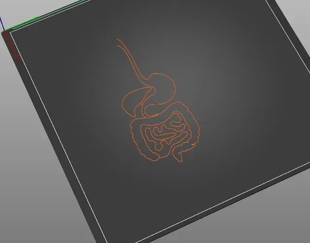 Tactile image: digestive system — Фото 3 из 7
