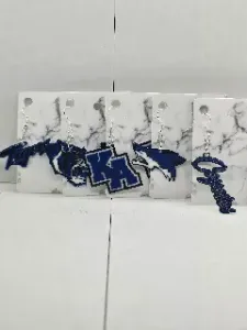 Kingman Academy Mascot (Tigers and Coyotes) Highschool and Middle School