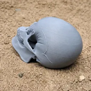 Aorun Skull