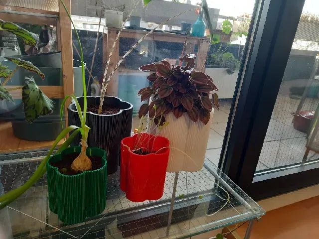 "Florio" - Self watering Flower Pot Planter, drain, no supports, parametric, multiple sizes — Image 4 of 5