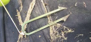 Garden stake for landscape fabric or tomatoes