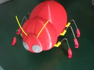 Beetle. Radio control
