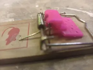Mouse trap trigger