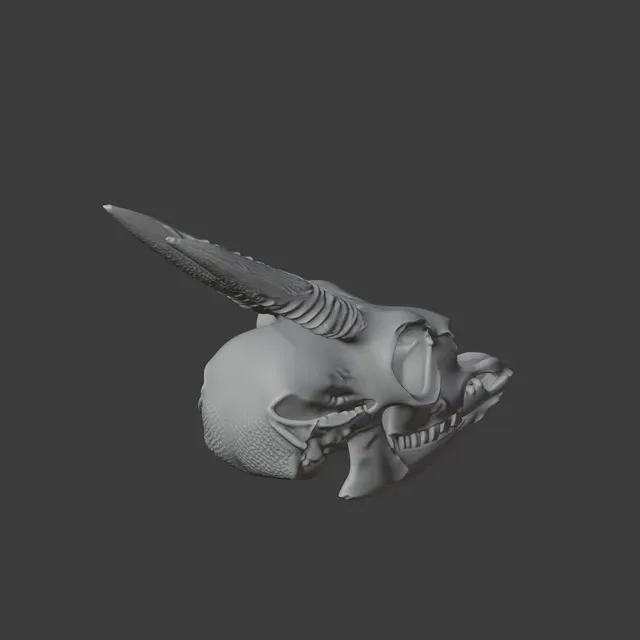 Dik-dik Skull — Фото 6 из 8