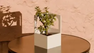 Windowed Nook Pot Plant - Home Decoration