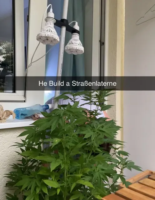 Dual E27 Grow lamp holder for 25mm 1" Inch PVC Pipe