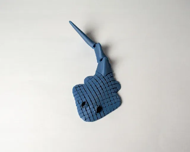 Floppy Guitar Fish — Image 4 of 5