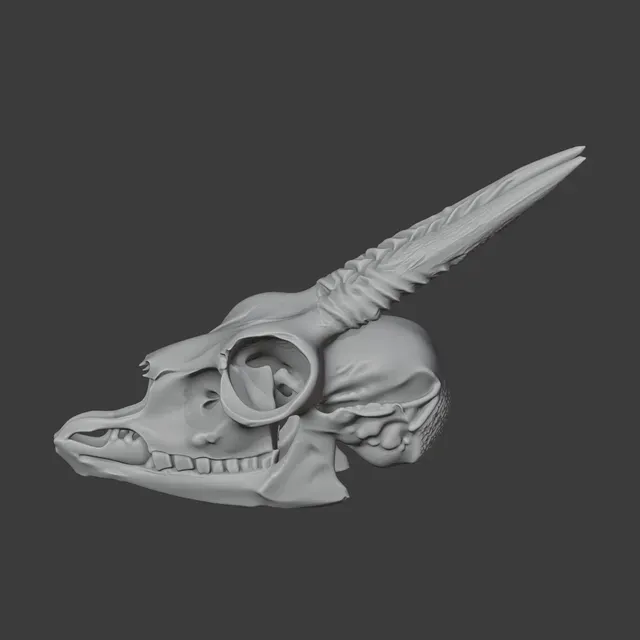 Dik-dik Skull — Фото 2 из 8