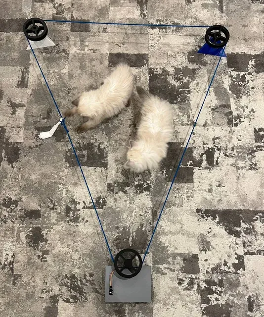 Pulley-Driven Toy Chaser: A Remote-Controlled Play Experience for Pets — Фото 3 из 9