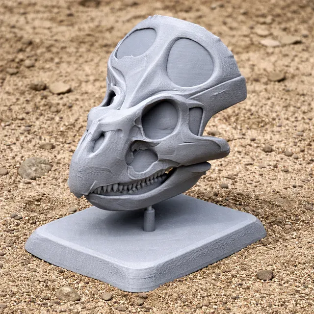 Breviceratops Skull