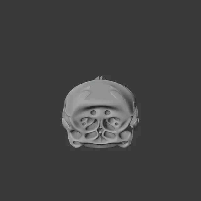 Dall's Porpoise Skull — Фото 7 из 8