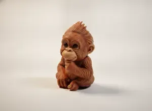 Cute Baby Orangutan