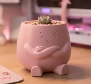 "Pouty" - Grumpy Succulent Planter & Desk Decor