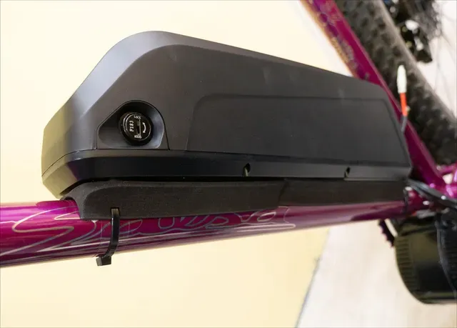 eBike shark battery mount plate with connection box — Image 3 of 4