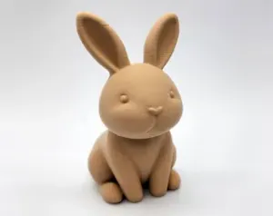Heart-Nose Bunny