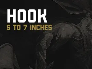 HOOK V1