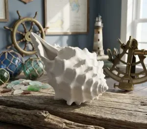 Decorative Seashell V8