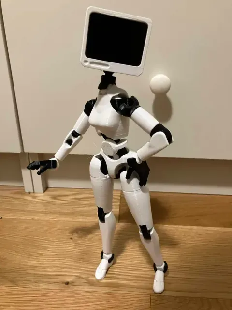 Carbon 13 TV Head