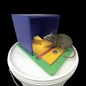 Walk-the-Plank Bucket Lid Mouse Trap