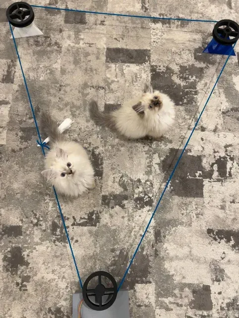 Pulley-Driven Toy Chaser: A Remote-Controlled Play Experience for Pets
