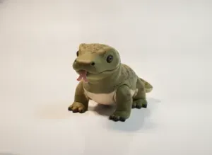 Cute Komodo Dragon