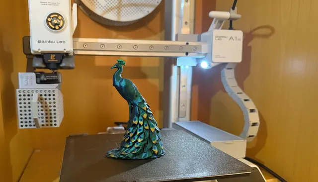 Low Poly Peacock