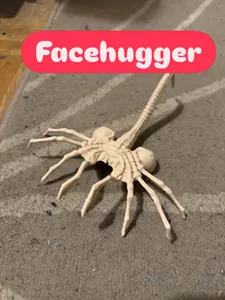 Alien Facehugger