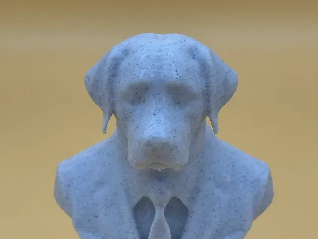 Bust of a well dressed Labrador