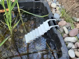 Frog Pond Ladder