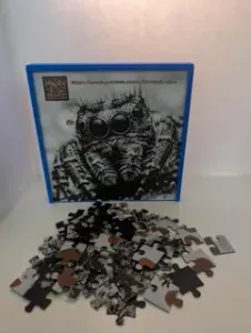 49 Piece Spider Jigsaw Puzzle-QR