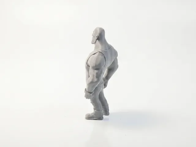 Dwayne Johnson Figurine Movies & TV 3D Printable — Фото 5 из 5