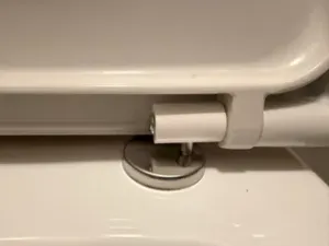 Toilet seat hinge