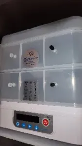 PrintDry Pro, Pro2, Pro3, & Pro4 Silicone Plug PETG Mold