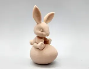 Bunny on the Egg