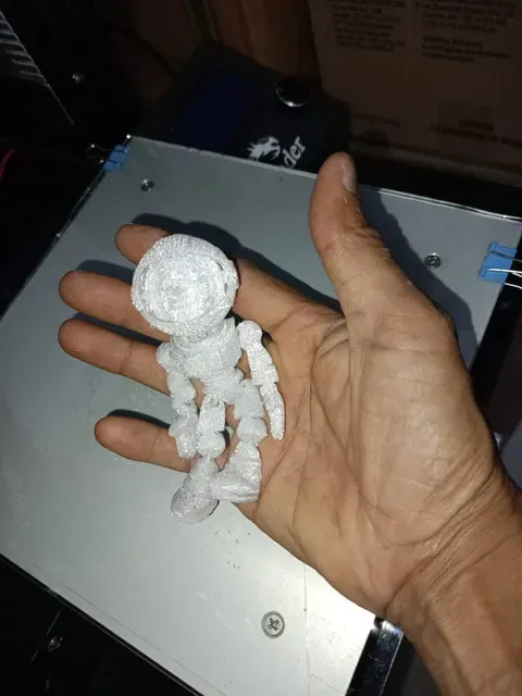 flex astronalta