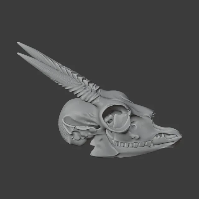 Dik-dik Skull — Фото 7 из 8