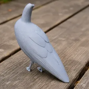 Andean coot