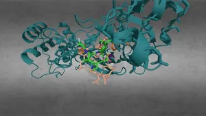 Nirmatrelvir acting on SARS-CoV-2 Main Protease