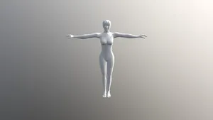 Female Characrter Rigged