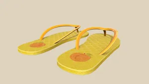 Summer Slippers