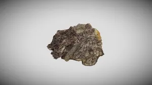 Staurolite-garnet-muscovite-biotite schist