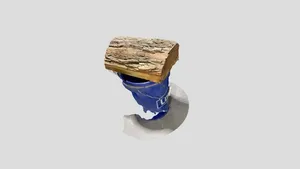 Carol’s Log