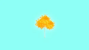 test birch tree