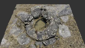 Lava tree cast at Takapuna 5