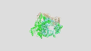 Alignment SARS-CoV-2 RDRP with RHDV