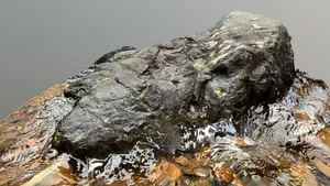 Waterfall Rock 7 (Scaniverse)