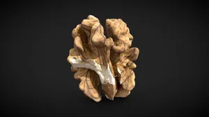 Walnut kernel