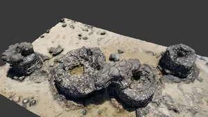 Lava tree casts at Takapuna 4